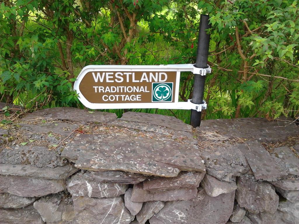 Westland Traditional Cottage Dated 1700'S Ardea Zimmer foto